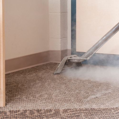 Why you should hire a professional carpet cleaner
