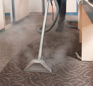 Why you should hire a carpet cleaner
