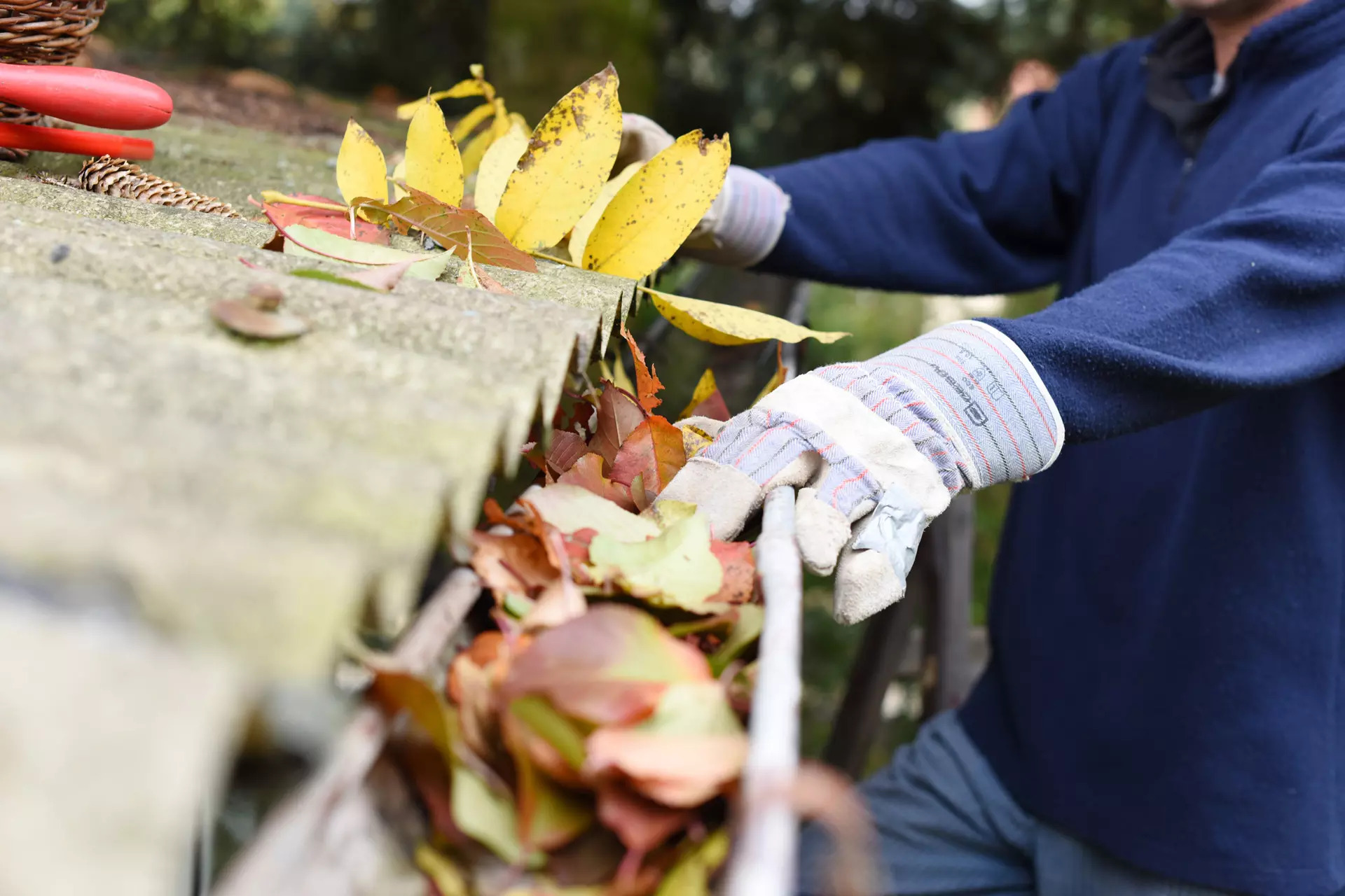 Exploring the Benefits of Hiring Professional Services for Rain Gutter Cleaning