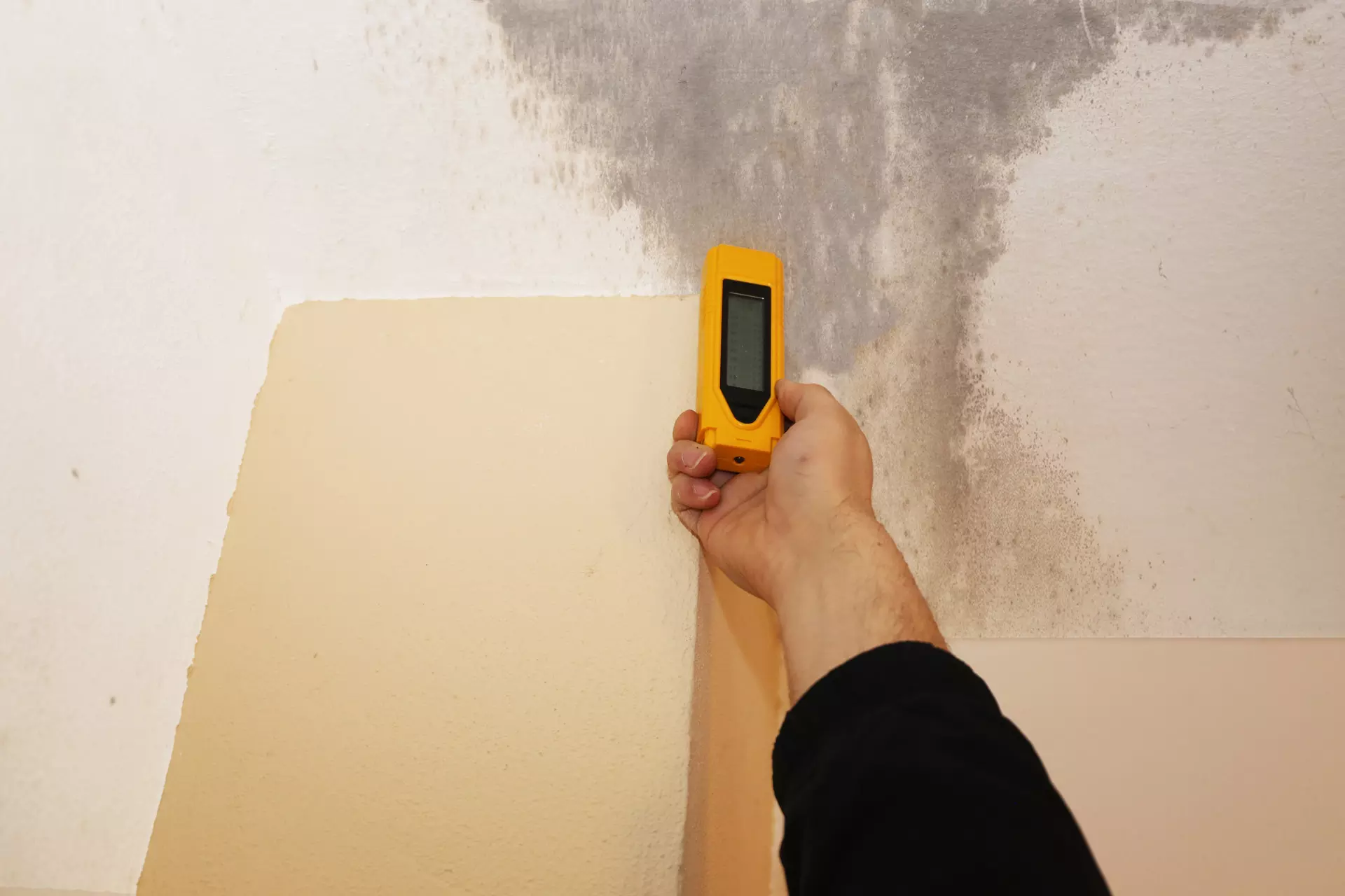 Identifying the Common Causes of Mold Growth in New York Homes and Effective Prevention Strategies